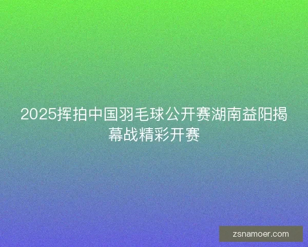 2025挥拍中国羽毛球公开赛湖南益阳揭幕战精彩开赛