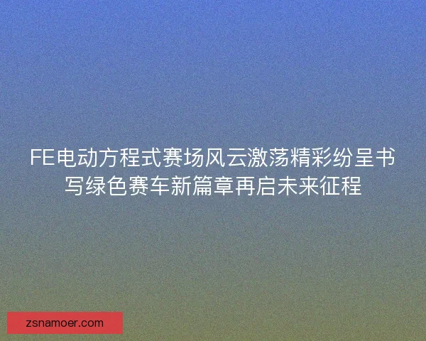 FE电动方程式赛场风云激荡精彩纷呈书写绿色赛车新篇章再启未来征程 FE电动方程式赛场风云激荡精彩纷呈书写绿色赛车新篇章再启未来征程
