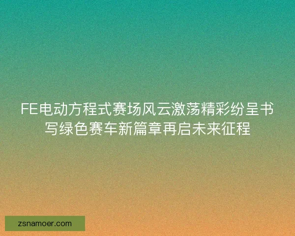 FE电动方程式赛场风云激荡精彩纷呈书写绿色赛车新篇章再启未来征程 FE电动方程式赛场风云激荡精彩纷呈书写绿色赛车新篇章再启未来征程